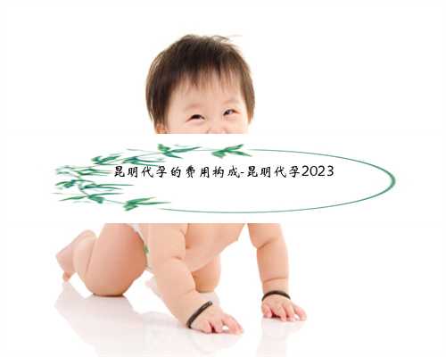 昆明代孕的费用构成-昆明代孕2023