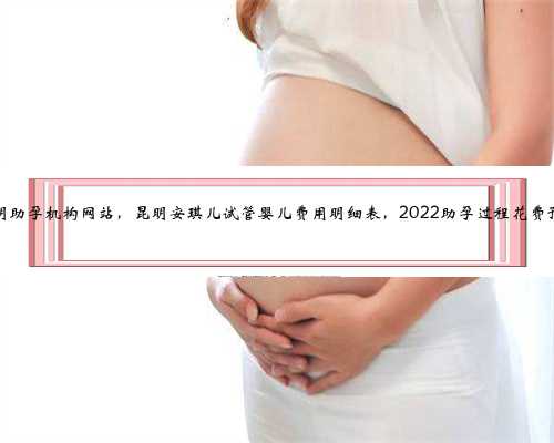 昆明助孕机构网站，昆明安琪儿试管婴儿费用明细表，2022助孕过程花费预估