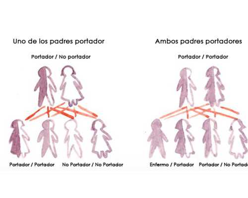 囊胚移植初期出血原因与应对指南