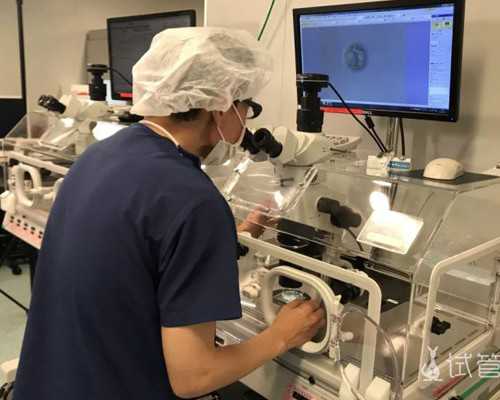 胚胎16号染色体重复90.35mb的原因与应对措施