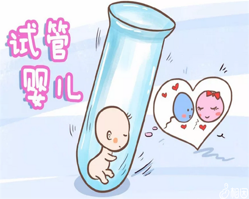 昆明供卵试管医院成功率与费用全解析