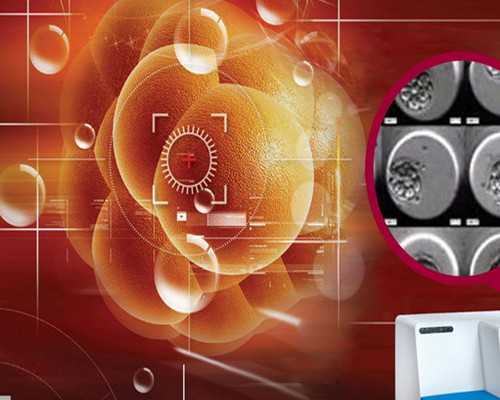 昆明助孕试管机构正规选择指南：设施、服务与费用解析