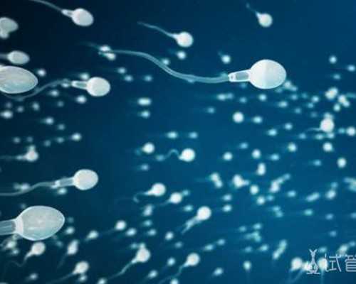 2026年供卵试管生男孩费用及成功率解析