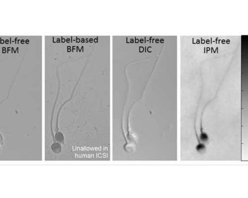 变调夹的功能与操作技巧详解