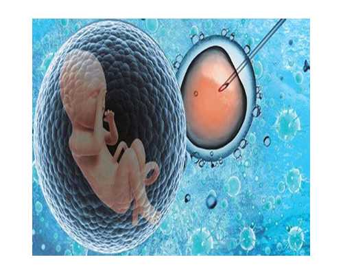 昆明试管移植成功率提升，优质囊胚助孕选择指南