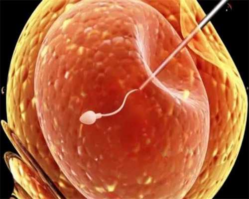 禁欲半个月后精子质量如何影响受孕几率（科学备孕指南）