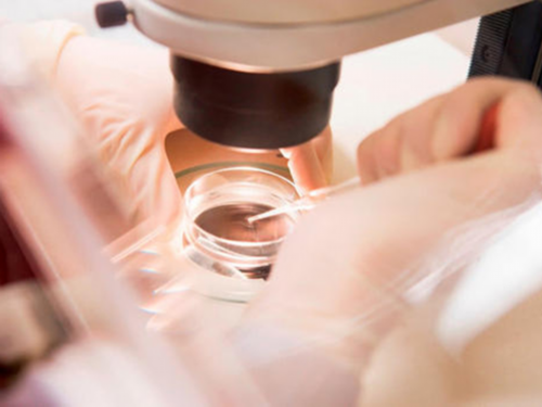 昆明供卵试管费用及最佳医院排名解析