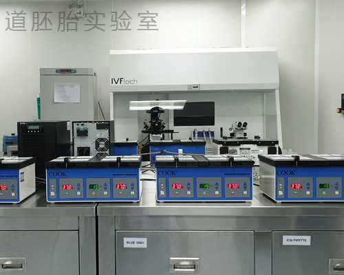 2026年小学生入学政策详解：五华区年龄限制与报名指南