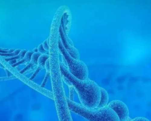 2026第三代试管供卵生男孩费用解析与价格明细