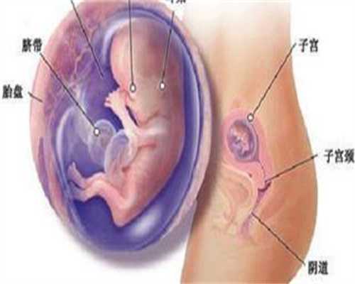 备北京代孕间，男人应该吃什么？不能吃什么？