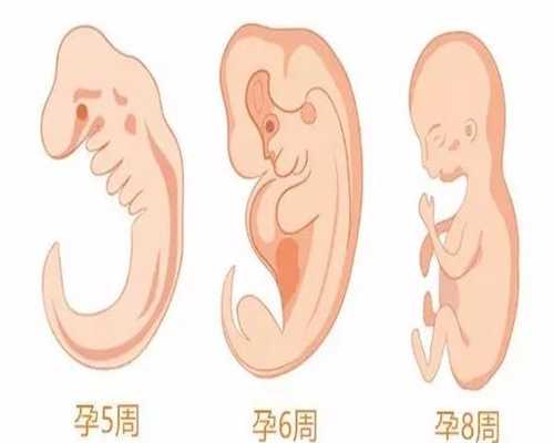 北京代孕怎么判断男女
