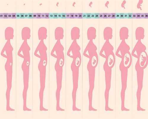 孕前调理身体看体质