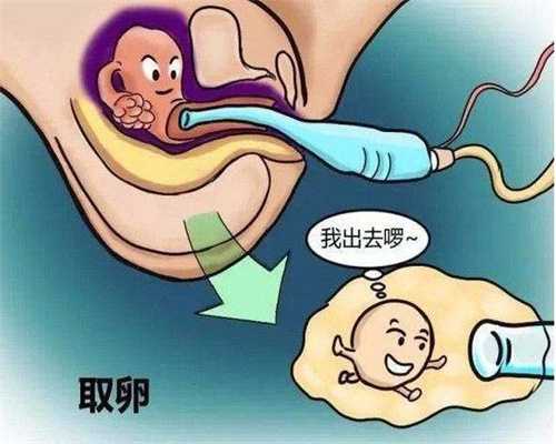 代孕产子的医院,借卵子生子跟母体有血缘关系吗