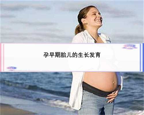 孕早期胎儿的生长发育